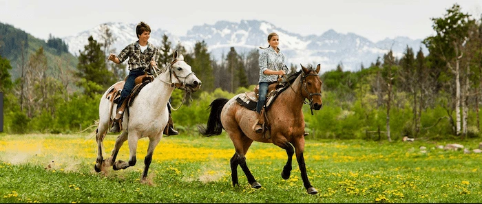 Confident plus-size woman riding Preston a horse through a field with a smile on her face.